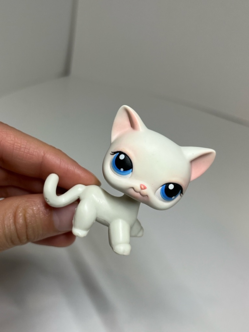 Authentic #64 White Shorthair Cat Littlest Pet Shop LPS Vtg On the Go Carrier - Picture 4 of 12